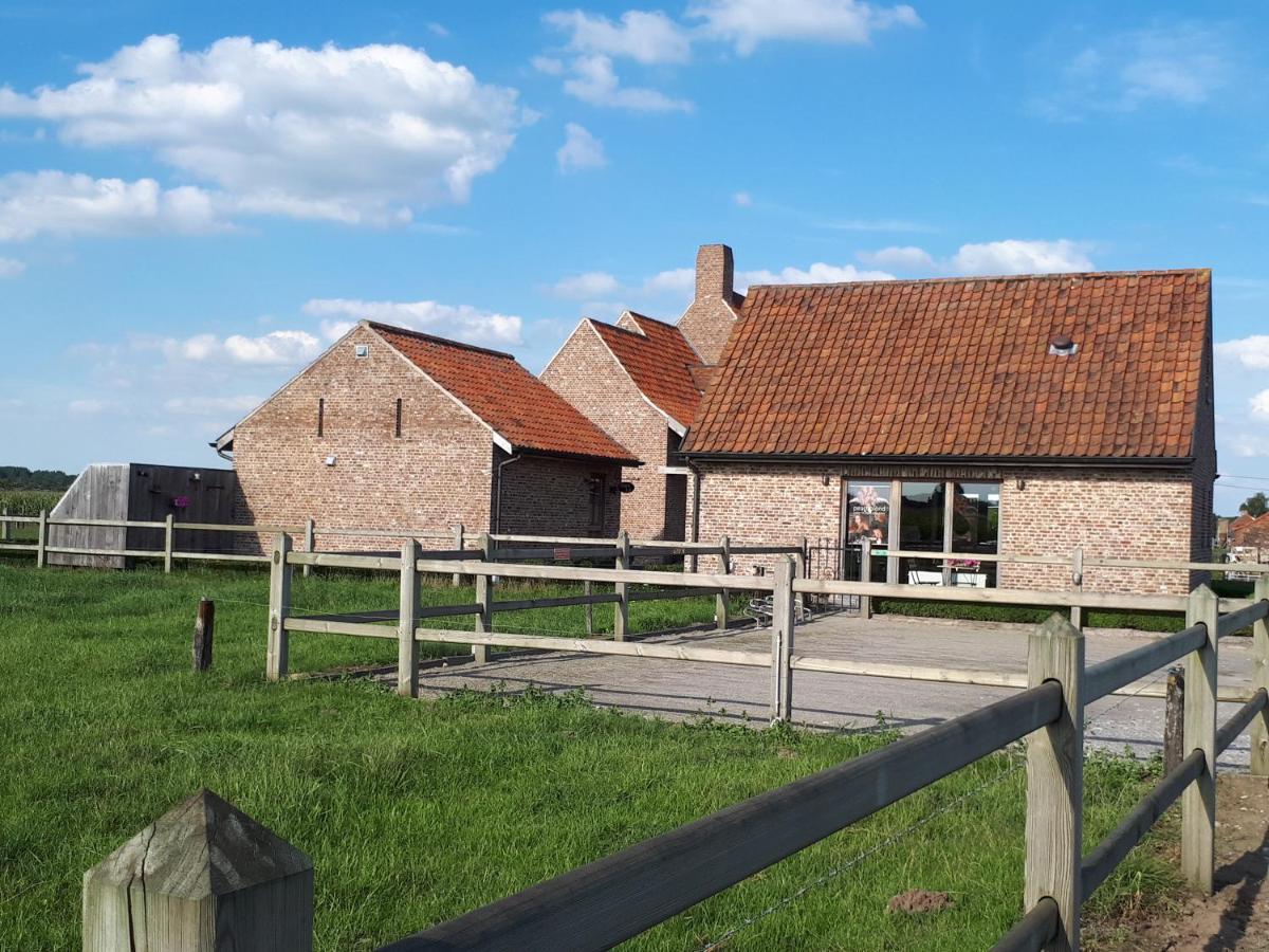 B&B 'T Hoveke Wingene Exterior photo